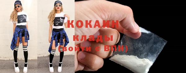 крисы Лагань