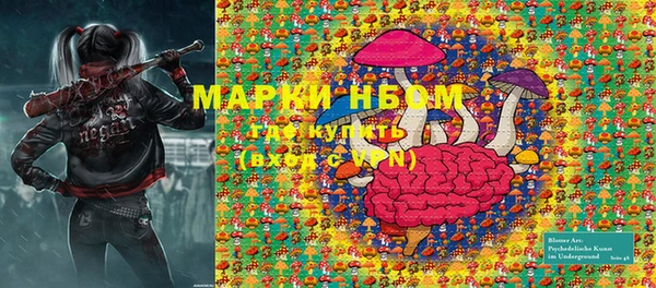 стаф Лабытнанги