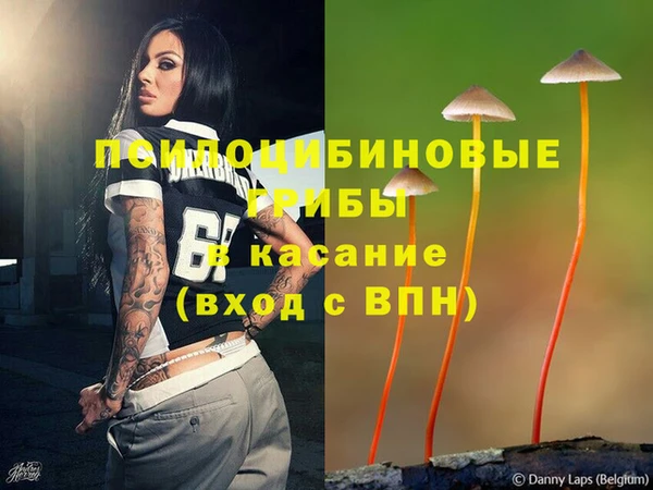 крисы Лагань