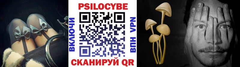Псилоцибиновые грибы GOLDEN TEACHER  Купить где  Геленджик 